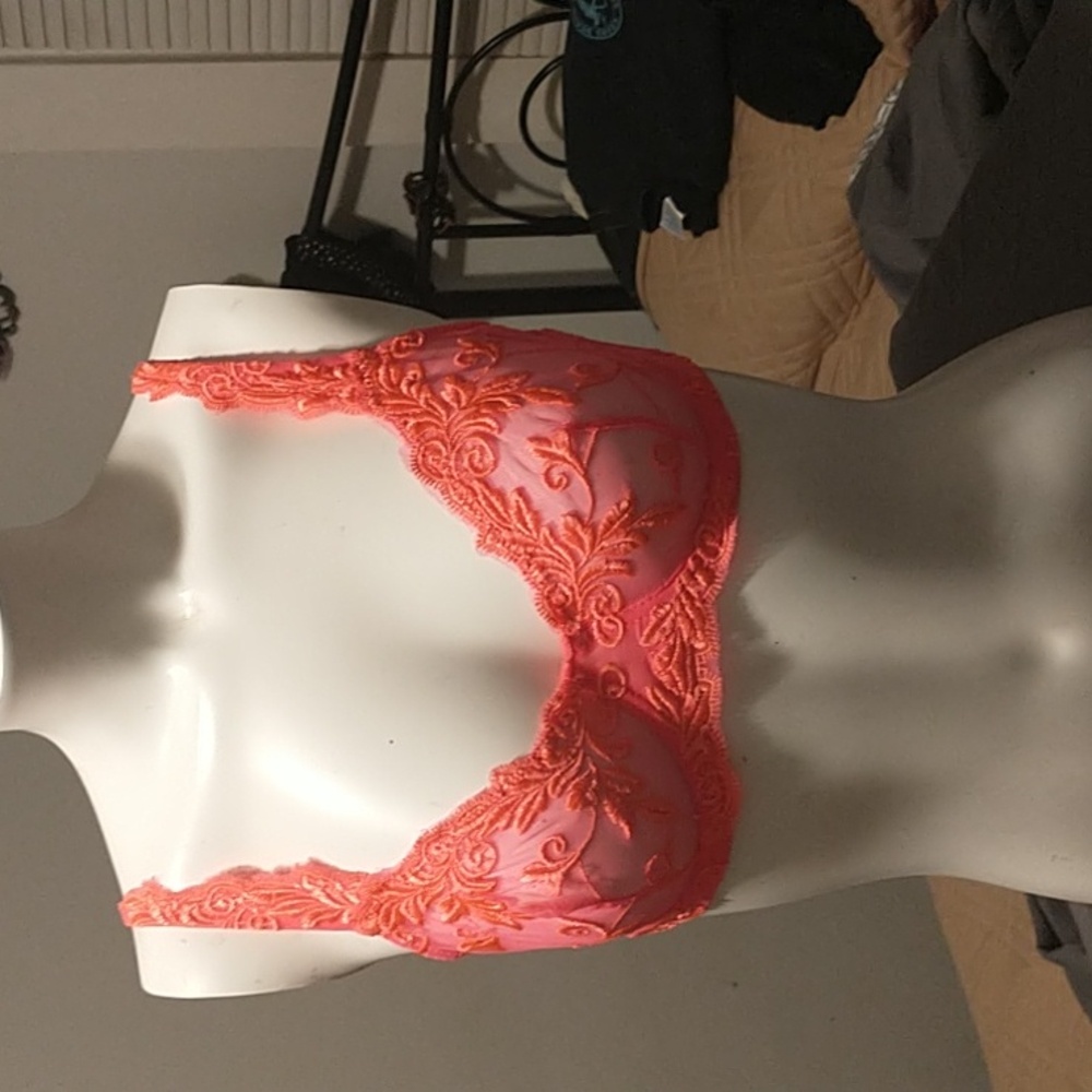 Kathy Ireland bra
